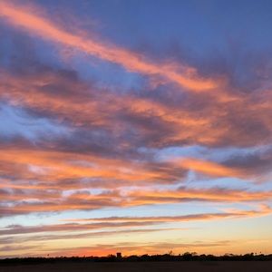 Meet your Posher, Priscilla